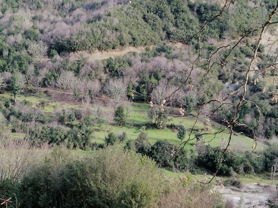 Ktimata Evdoxia Villa Platanoussa Esterno foto